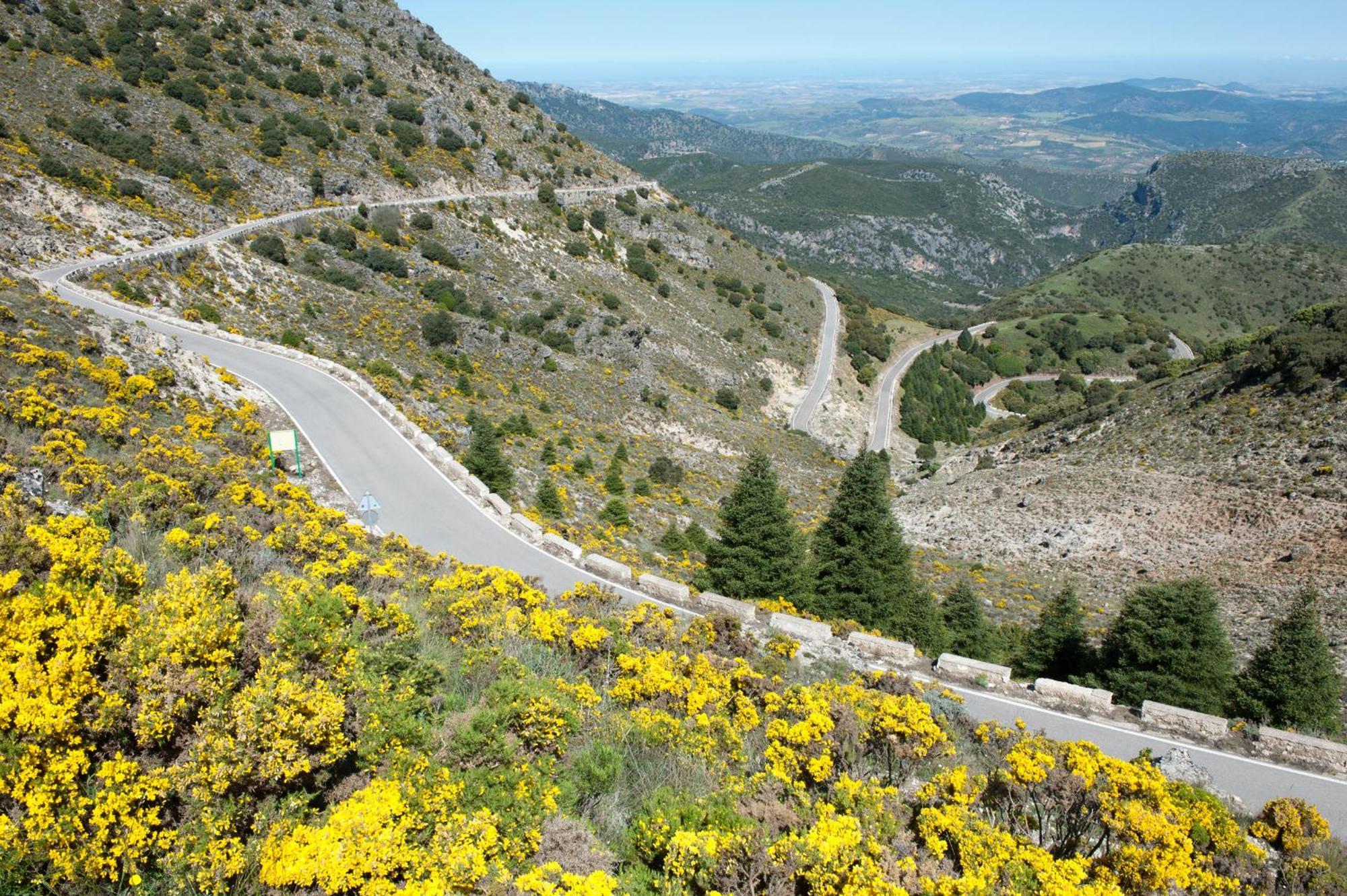 Al Lago Zahara De La Sierra Exteriér fotografie